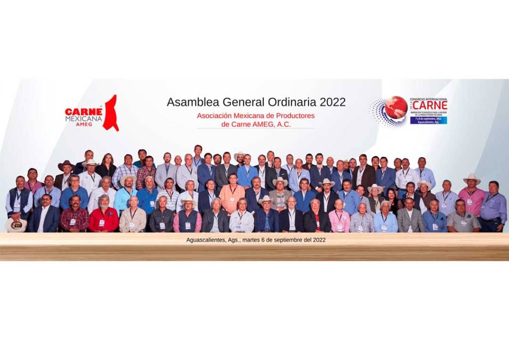 Asamblea General Ordinaria 2022 - Socios AMEG