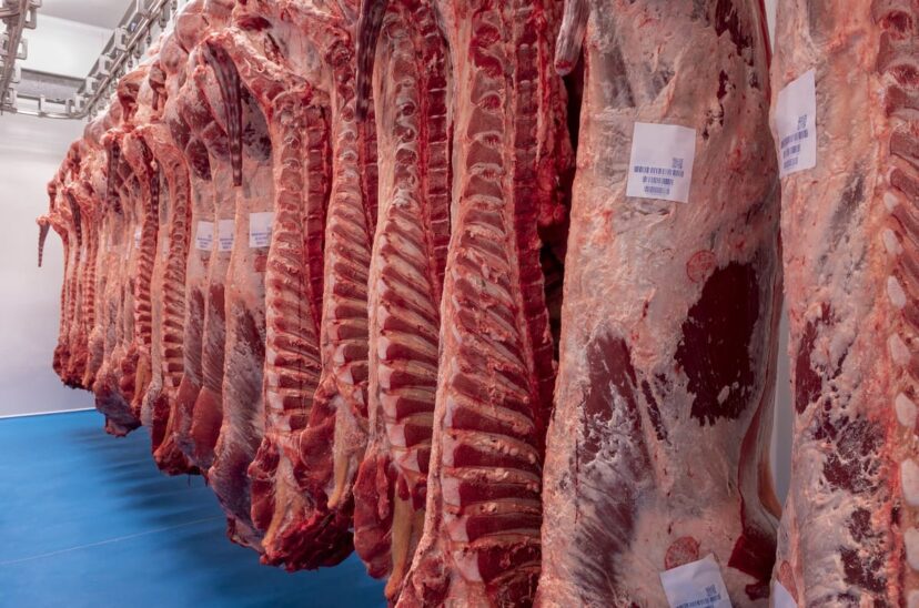 31/08/2023. The food tech :Exportaciones de carne roja americana crecerán en México