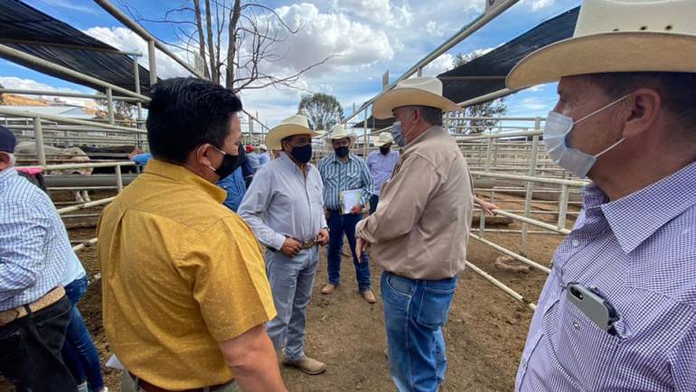 27/09/2023. SAGDR: Durango, tercer lugar nacional en exportación de ganado bovino en pie a USA