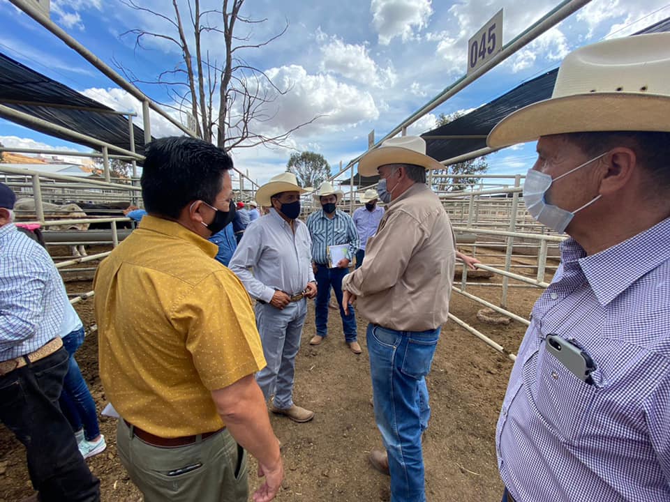 27/09/2023. SAGDR: Durango, tercer lugar nacional en exportación de ganado bovino en pie a USA