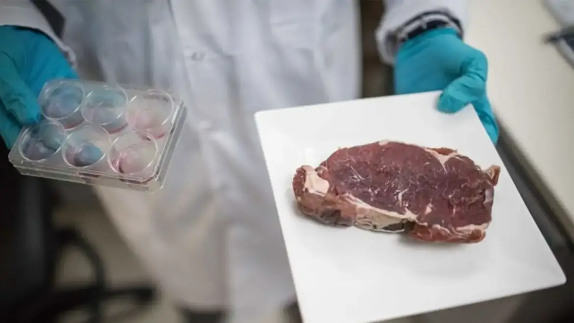24/01/2024. Ganaderia.com: Producción de carne de laboratorio, una amenaza para la salud pública: legisladores de Arizona