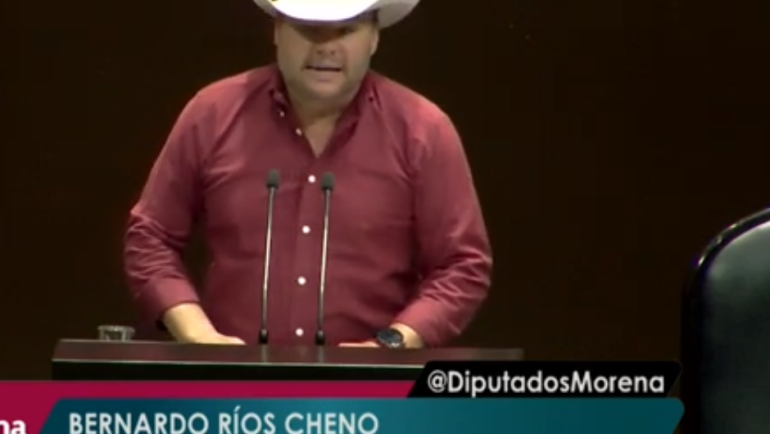24/05/2024. Cámara de Diputados aprobó que las organizaciones ganaderas brinden asesoría para mejorar producción y acceder a financiamiento