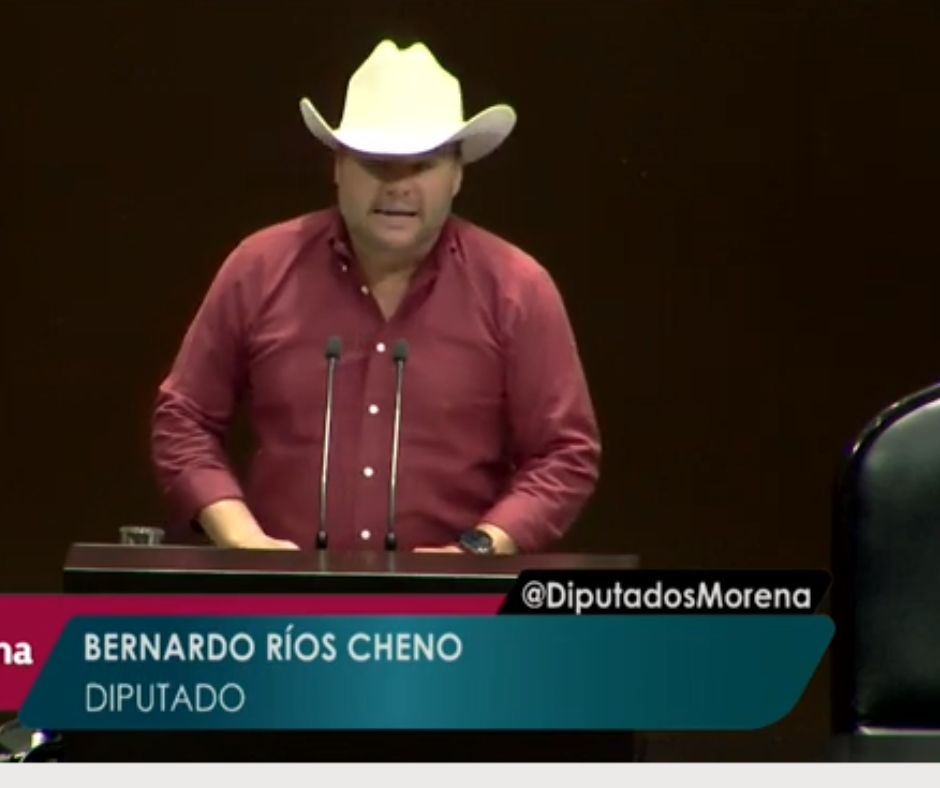 24/05/2024. Cámara de Diputados aprobó que las organizaciones ganaderas brinden asesoría para mejorar producción y acceder a financiamiento
